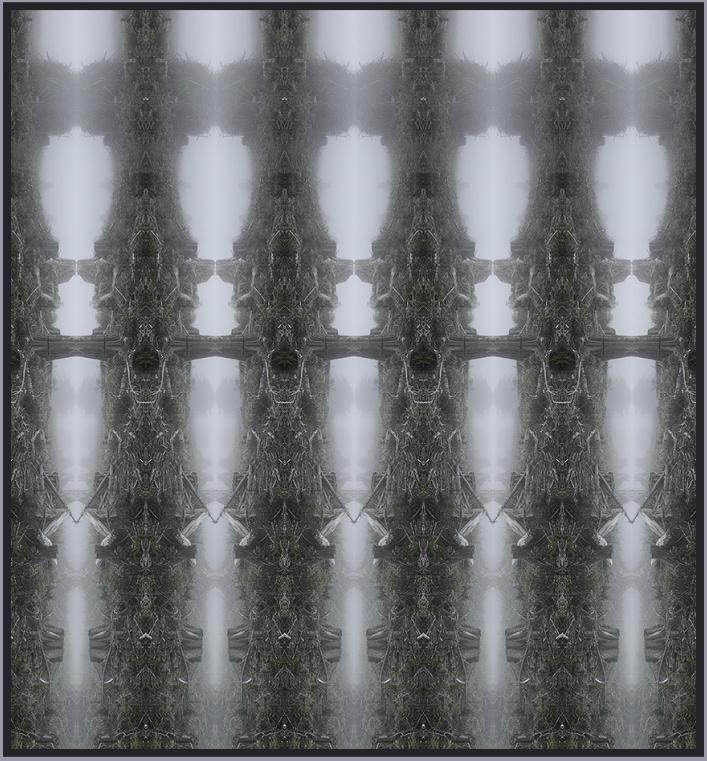 s16c-0769